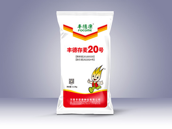 丰德存麦20号